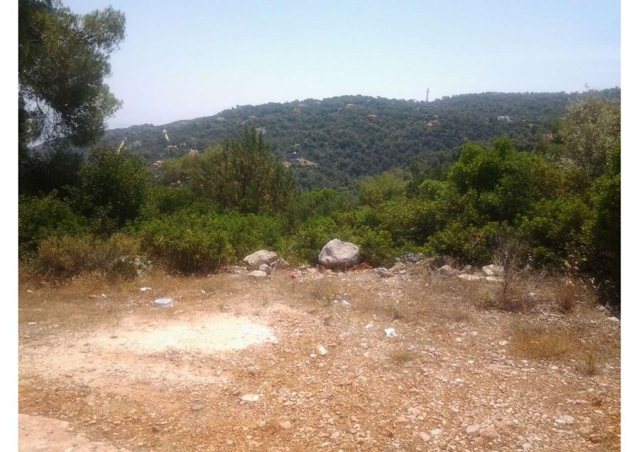 Photo 352293581