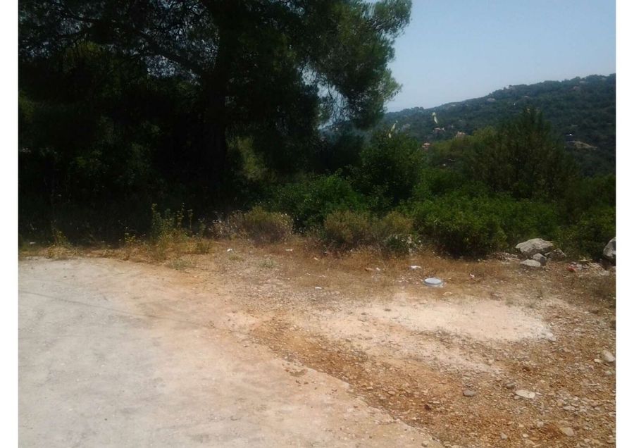 Photo 352293587
