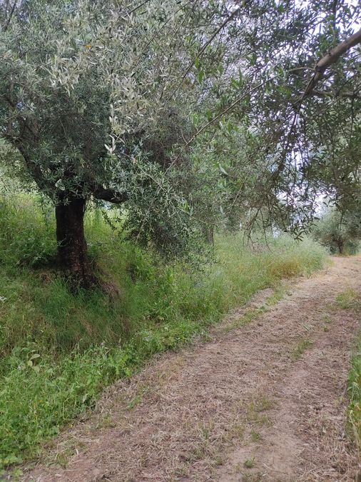 Photo 352294139