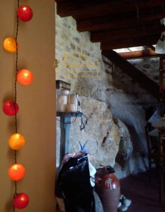 Photo 352839062
