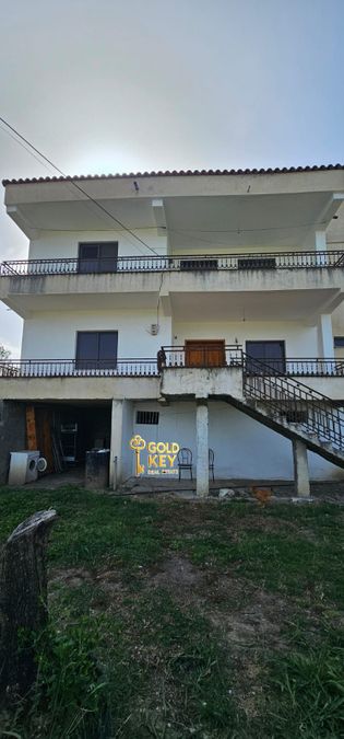 Foto 352842641
