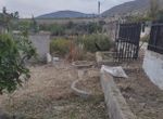 Photo 353115878