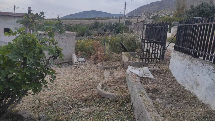 Photo 353115878