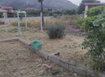 Photo 353115884