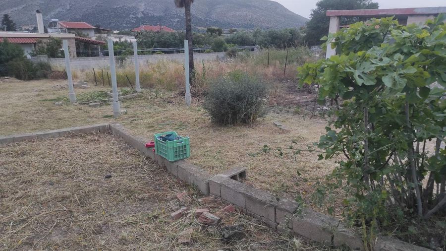 Photo 353115884