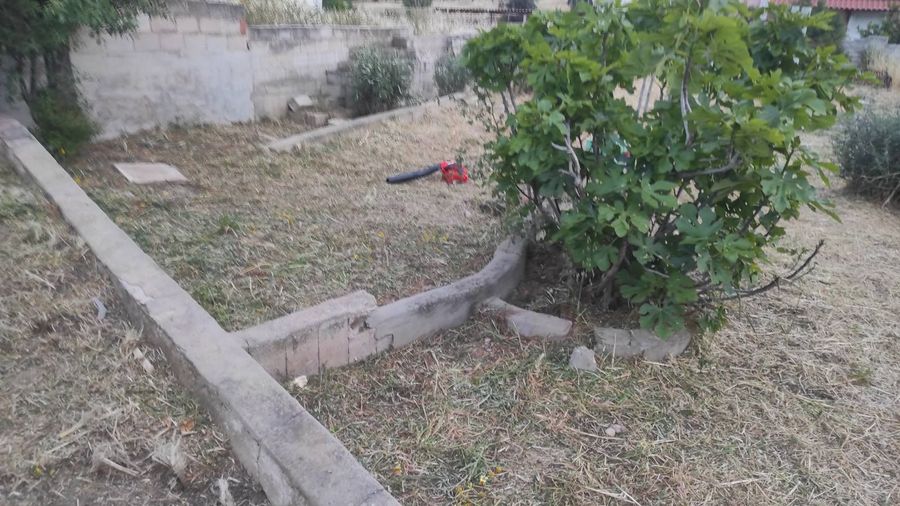 Photo 353115887