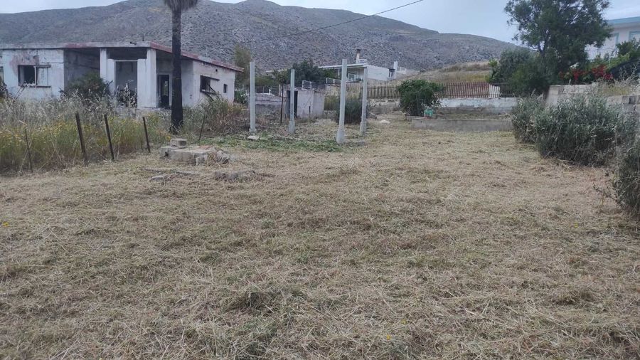 Photo 353115893