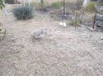 Photo 353115896