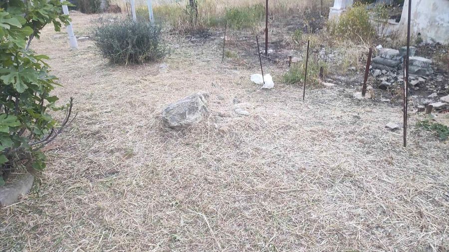 Photo 353115896