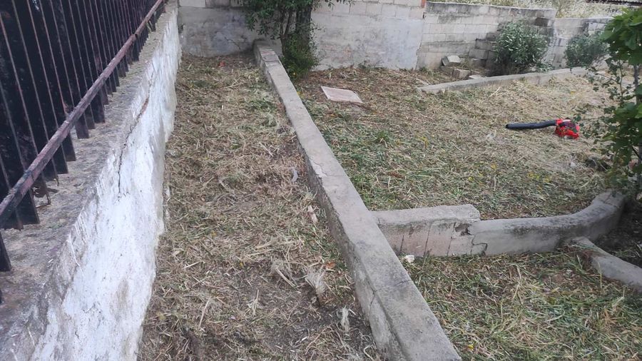 Photo 353115902
