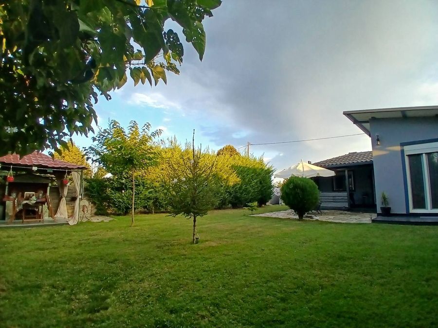 Photo 353171246