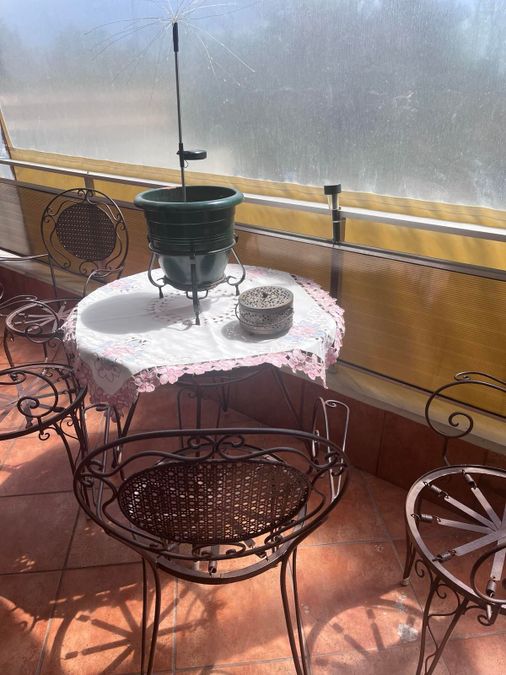 Photo 353172680