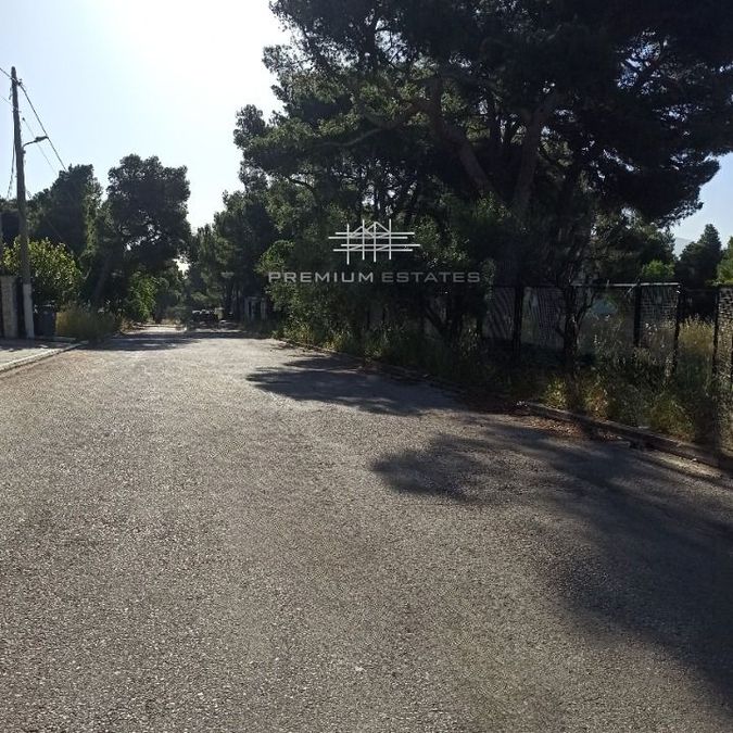 Photo 353196905