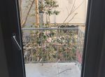 Photo 353235641
