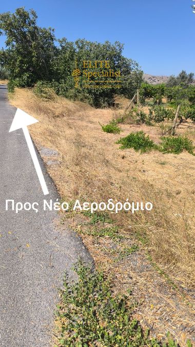 Photo 353735789