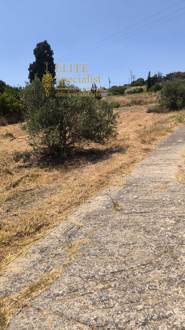 Photo 353736776