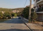 Photo 353789891