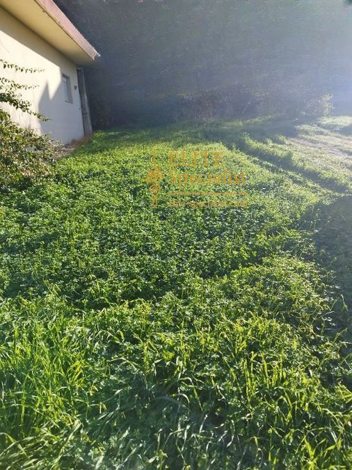 Photo 353978705