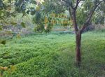 Photo 353978711