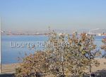 صورة فوتوغرافية 354054716