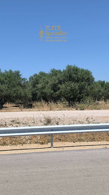 Photo 354104582