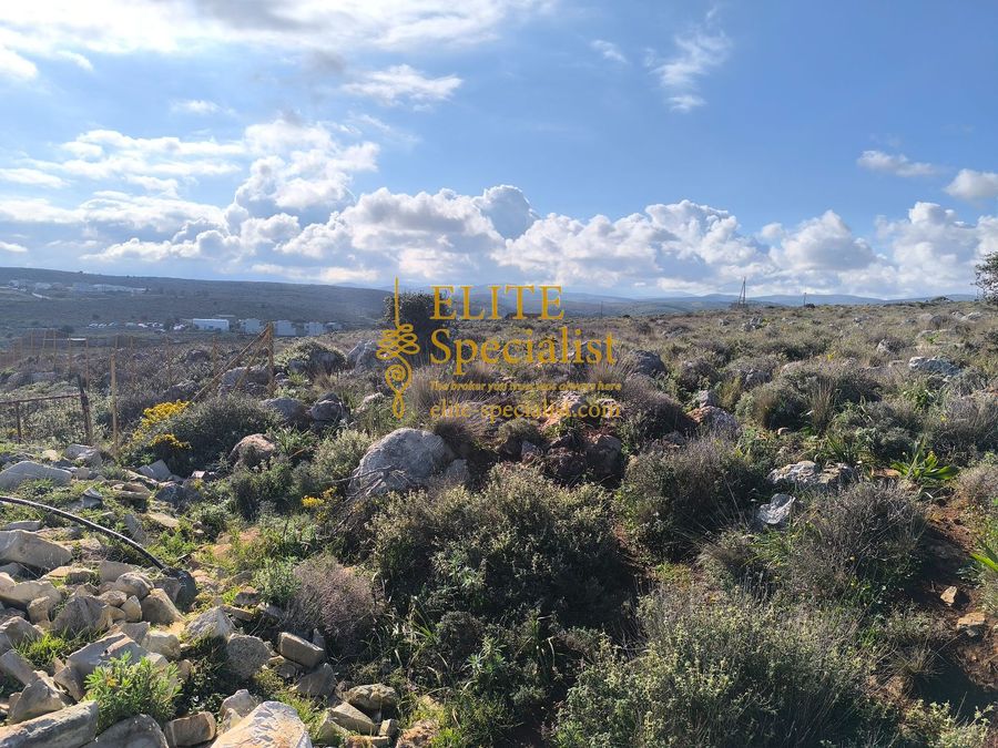 Photo 354137066
