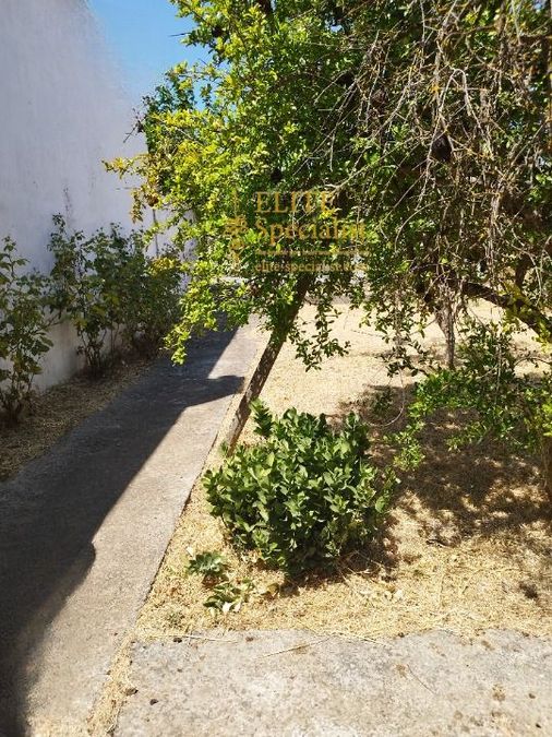 Photo 354226928
