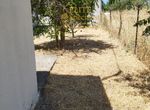 Photo 354226931