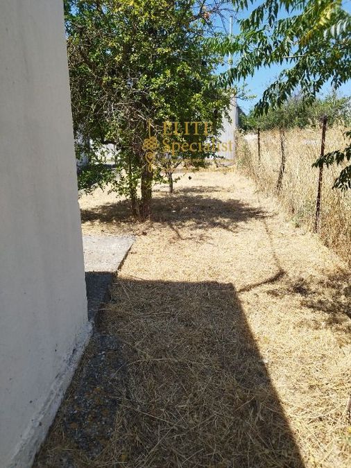 Photo 354226931