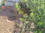 Photo 354424253