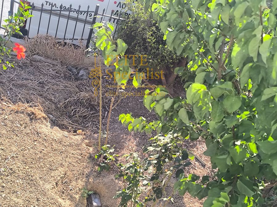 Photo 354424253