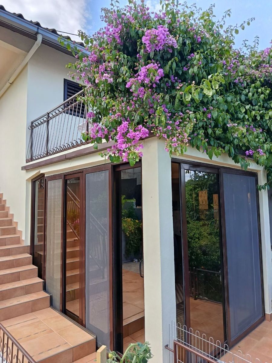 Best Adriatic Property Montenegro 8