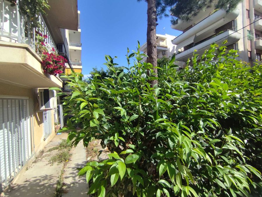 Photo 354516083