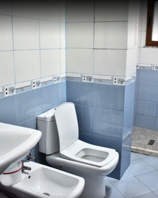 Foto 354569204