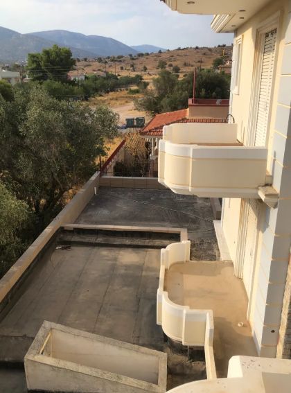 Photo 354642605