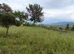 Photo 354950351