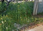Photo 355044281