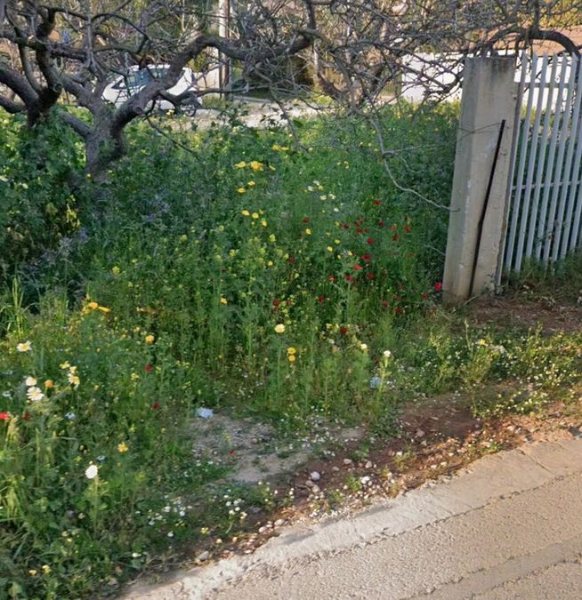 Photo 355044281