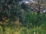 Photo 355044284