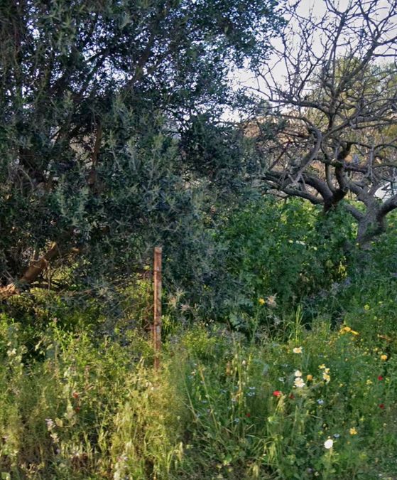 Photo 355044284