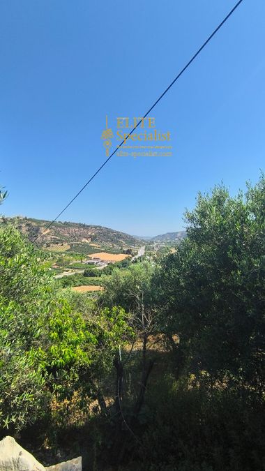 Photo 355090094