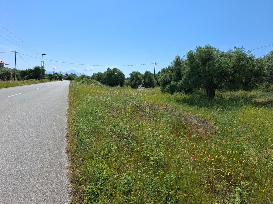Photo 355123592