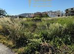 Photo 355180793