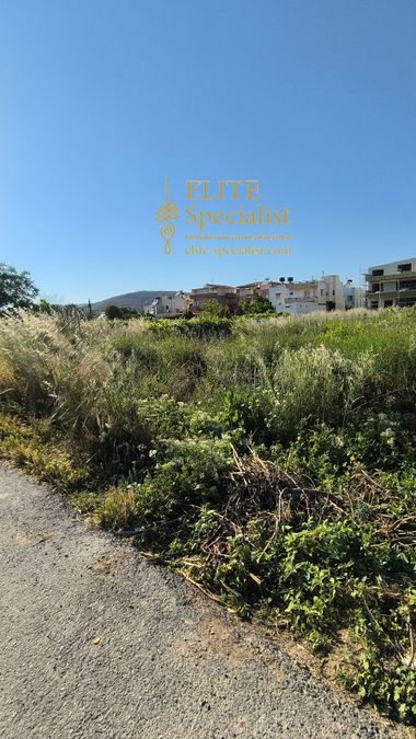 Photo 355180793