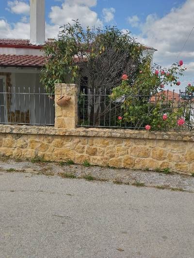 Photo 355567226