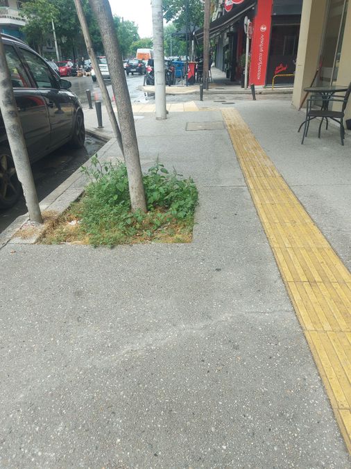 Photo 355588232
