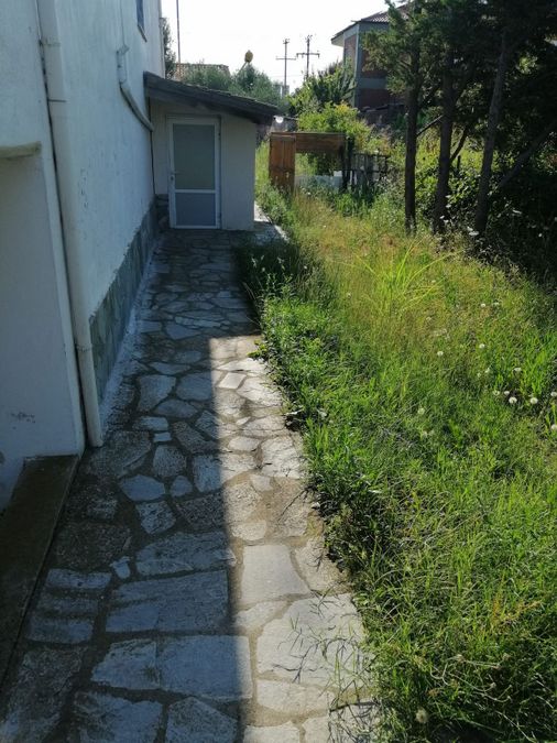 Photo 355619699