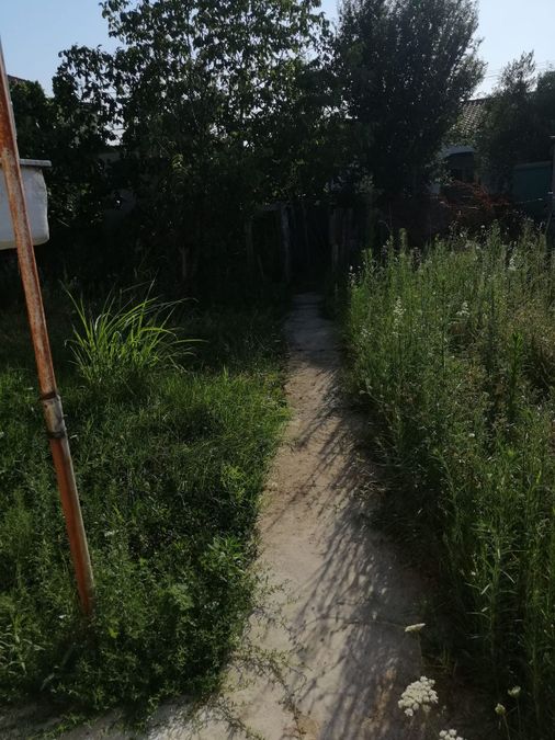Photo 355619705