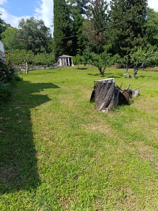 Photo 355628291