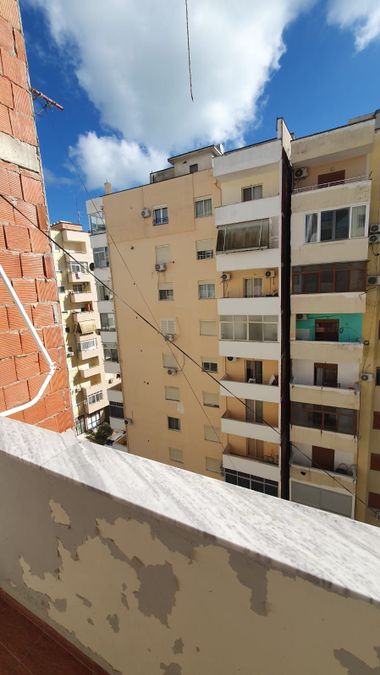 Foto 355696505
